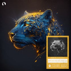 Stop Drop And Roll (Extended Mix)