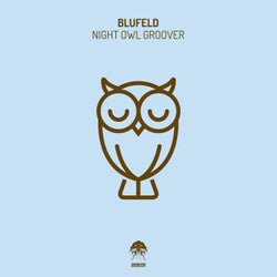 Night Owl Groover