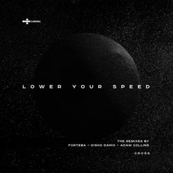 Lower Your Speed - the Remixes