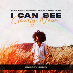 I Can See Clearly Now - Embody Remix