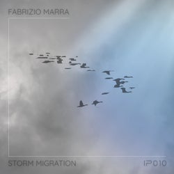 Storm Migration