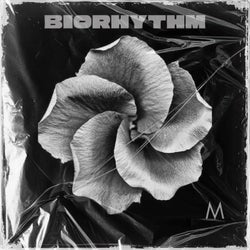 Biorhythm