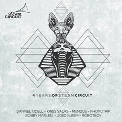 4 Years of Steam Circuit