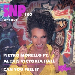 Can You Feel It - Original Mix