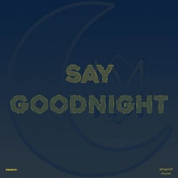 Say Goodnight (Radio Edit)