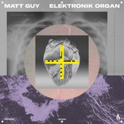 Elektronik Organ