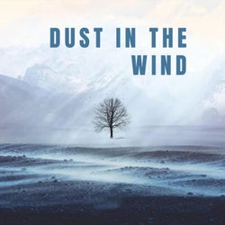 Dust in the Wind