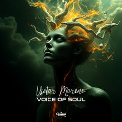 Voice of Soul