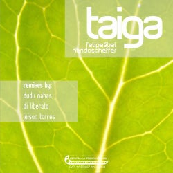 Taiga Remixes