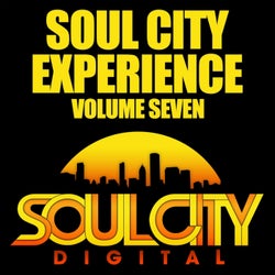 Soul City Experience, Vol. 7