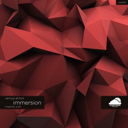 Immersion (Mixed by CJ Art)