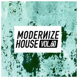 Modernize House Vol. 60