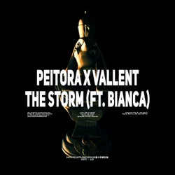 Storm (feat. Bianca)