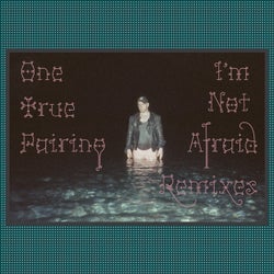 I'm Not Afraid - Remixes
