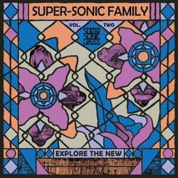 Super-Sonic Family Vol. 2