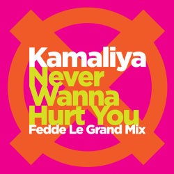Never Wanna Hurt You (Prince Igor) [Fedde Le Grand Club Mix]
