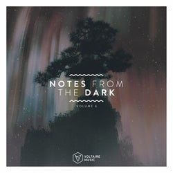 Notes From The Dark Vol. 6