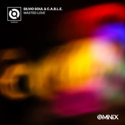 Wasted Love (Extended Mix)