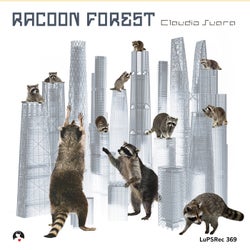 Racoon Forrest