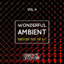 Wonderful Ambient, Vol. 4 (Dancefloor Picks For DJ's)
