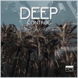 Deep Control (Different Grooves For DJ's)