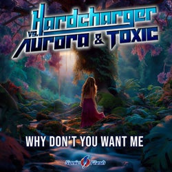 Why Don't You Want Me