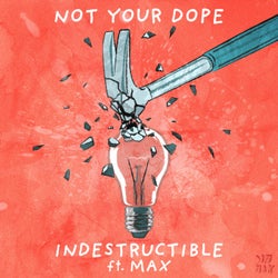 Indestructible (feat. MAX)