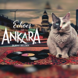 Echoes of Ankara