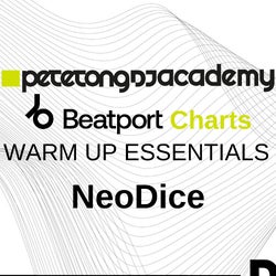 Pete Tong DJ Academy - Warm-up Essentials