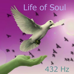 Life of Soul