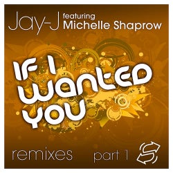 If I Wanted You Remixes Part 1