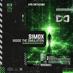 Inside The Simulation