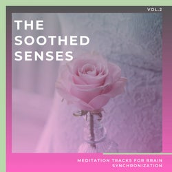 The Soothed Senses - Meditation Tracks For Brain Synchronization, Vol.2