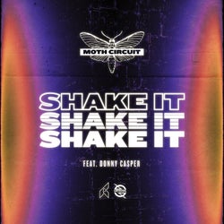 Shake It (feat. Donny Casper)