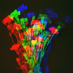part of me