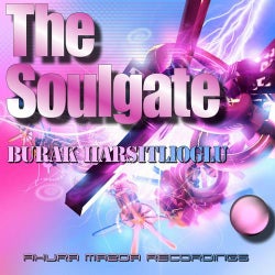 The Soulgate