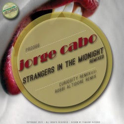 Strangers In The Midnight (The Remixes)