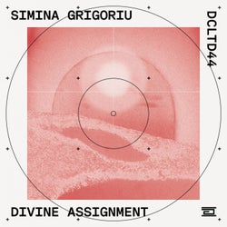 Divine Assignment