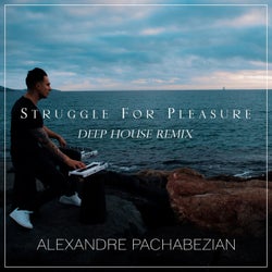 Struggle for Pleasure (Deep House Remix)
