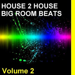 Big Room Beats Volume 2
