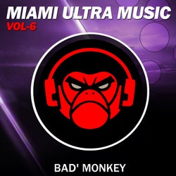 Miami Ultra Music Vol.6, compiled by Bad Monkey