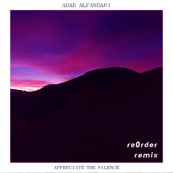 Appreciate The Silence (reOrder Mix)