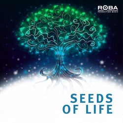 Seeds Of Life (ROBA Series)