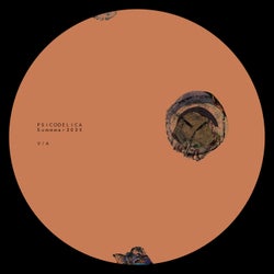 Summer V/A 2025