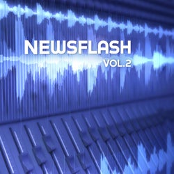 Newsflash, Vol. 2