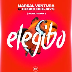Elegibo Remix