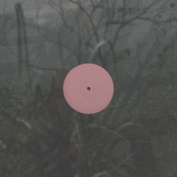 For the Early Hours of a World in Bloom