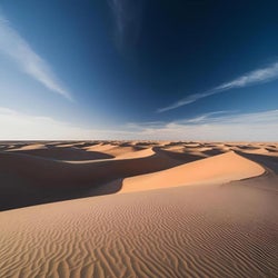 الصحراء شاسعة