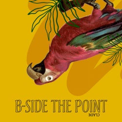 B-Side the Point