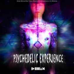 Psychedelic Experience